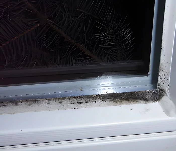 Schimmel am Fenster