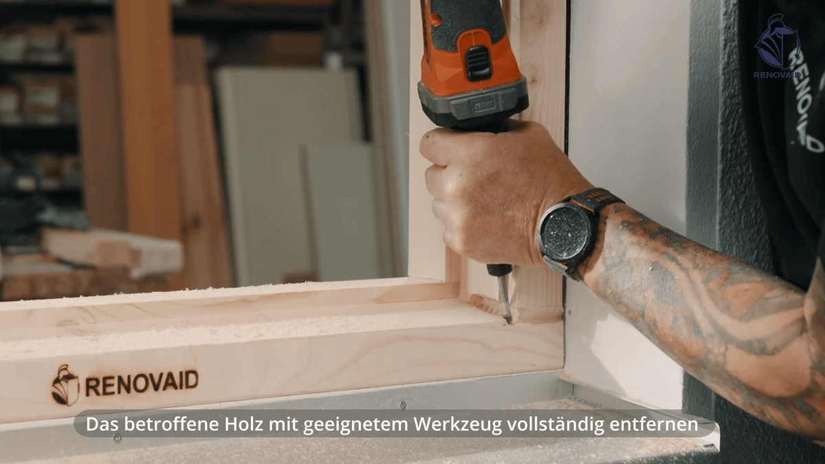 Schadstelle ausfräsen und reinigen – geschädigtes Holz bis ins gesunde Material entfernen und staubfrei vorbereiten