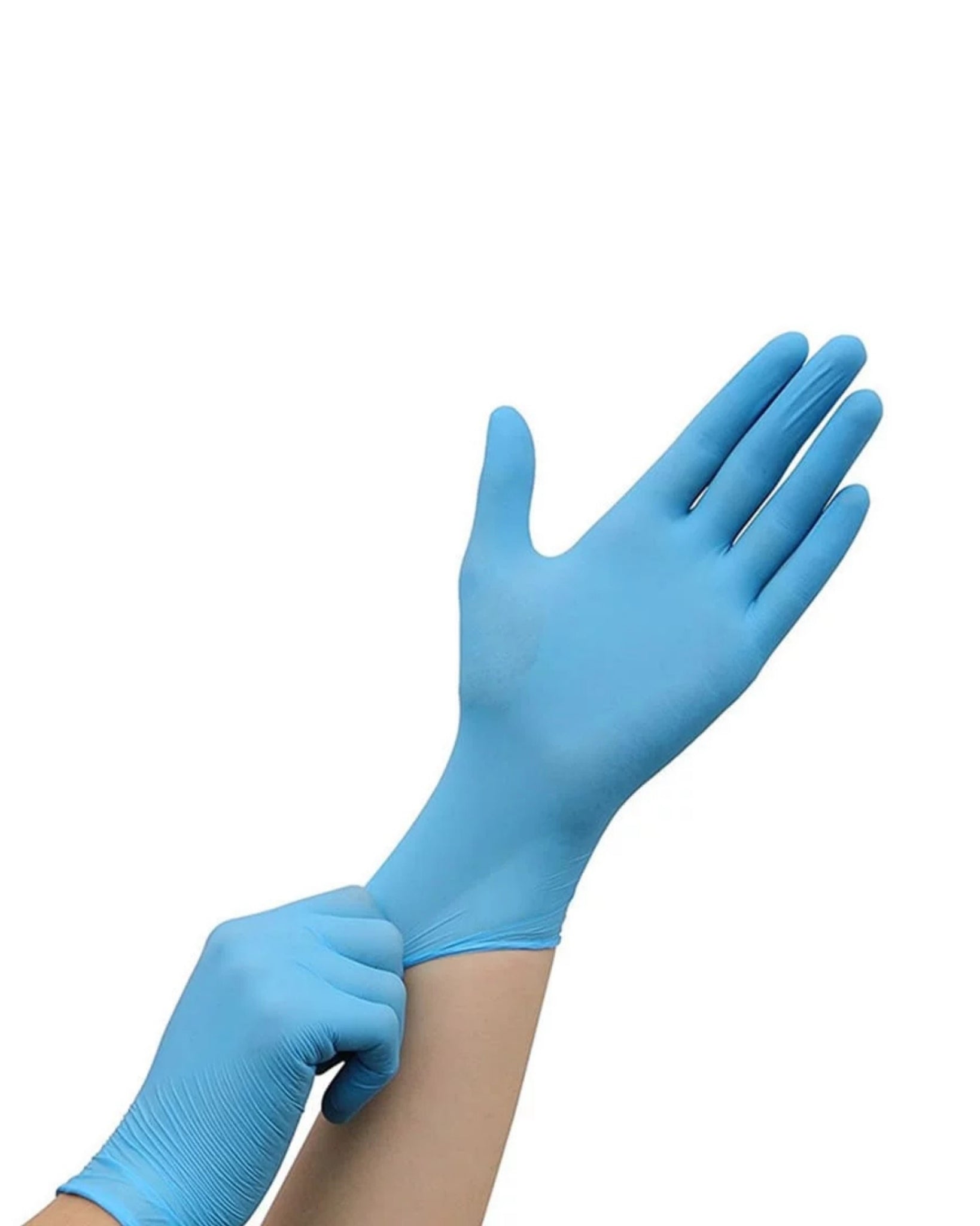 nitrilhandschuhe Renoprotect Handschuhe Hände